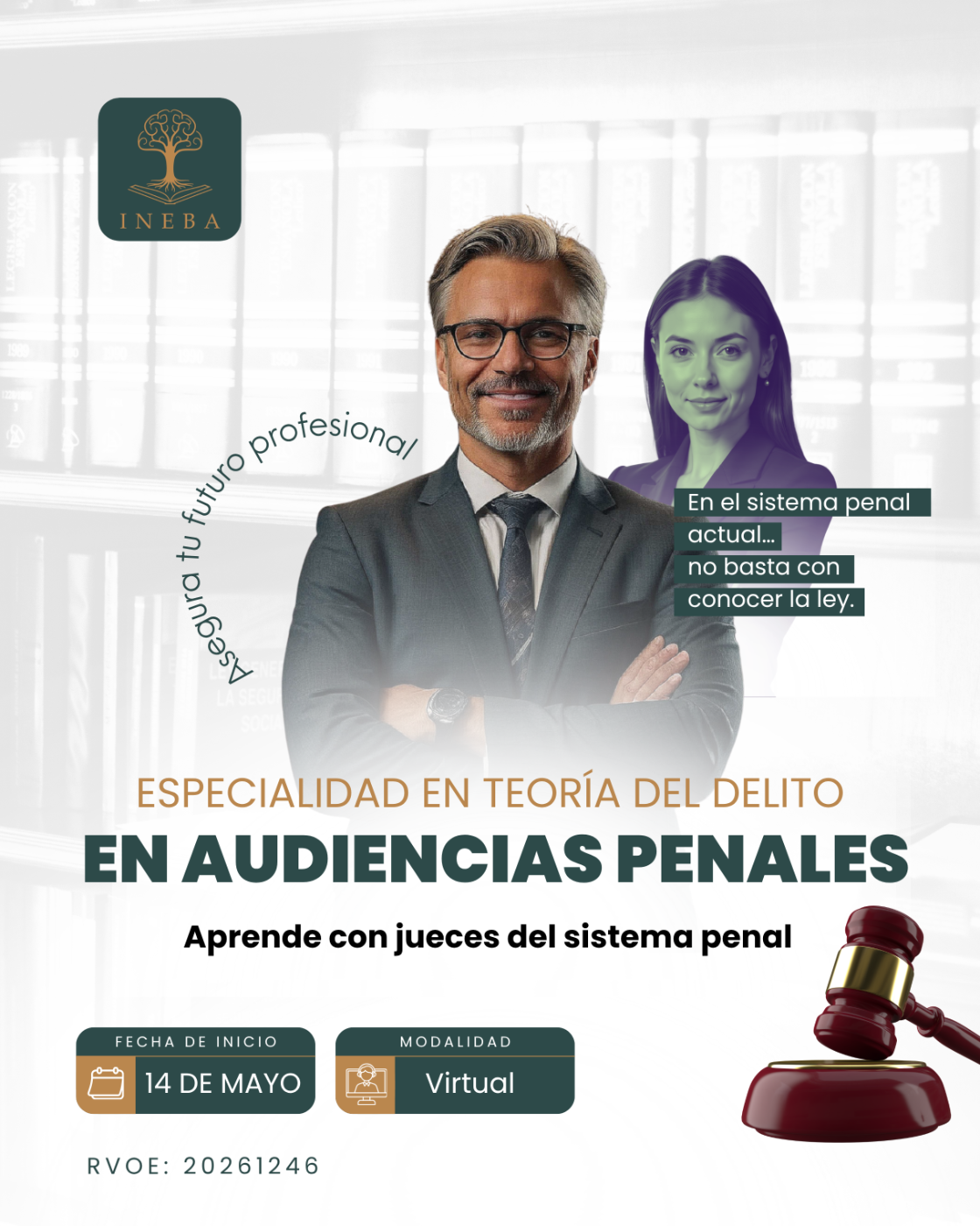 INEBA — especialidad en teoría del delito