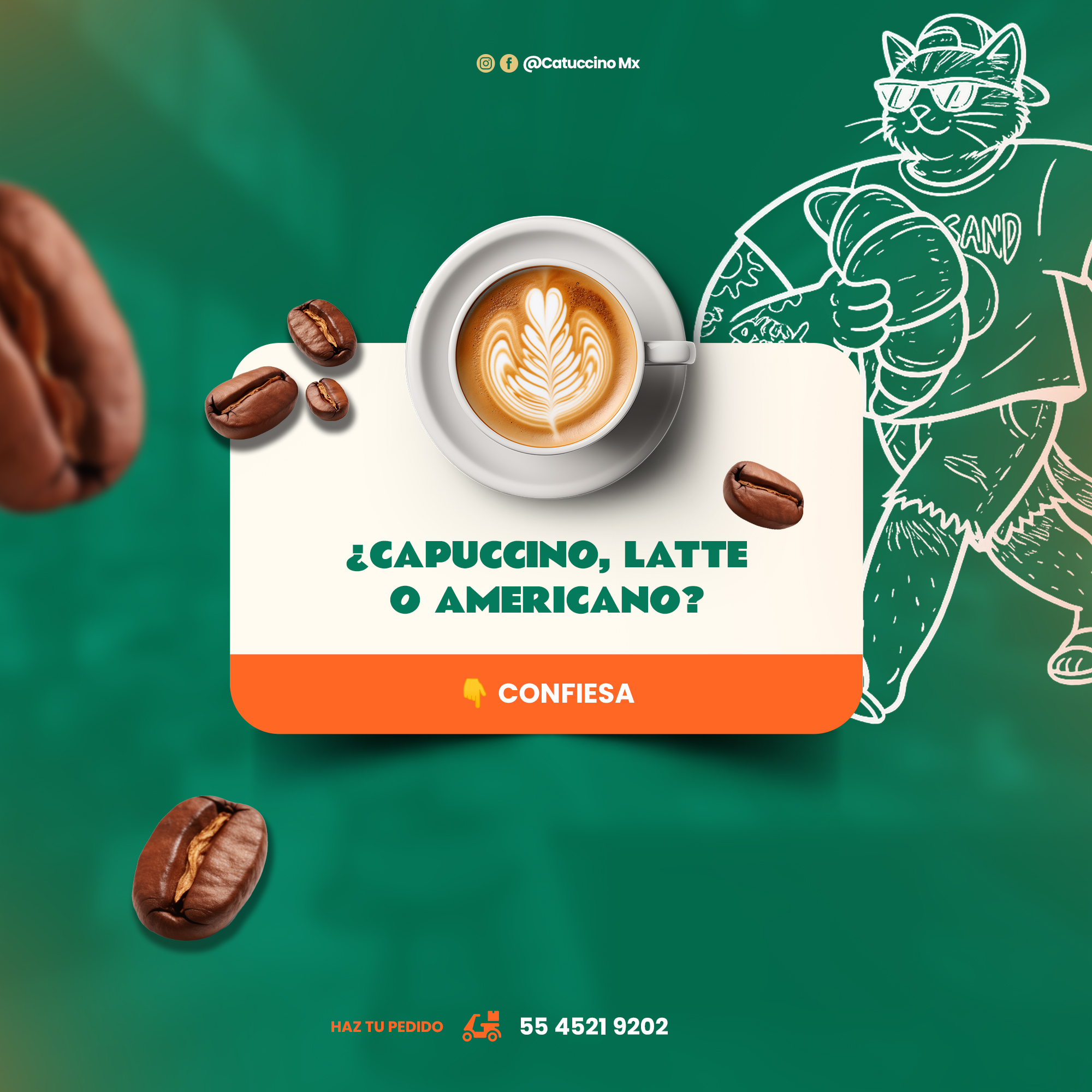 Catuccino — post de producto